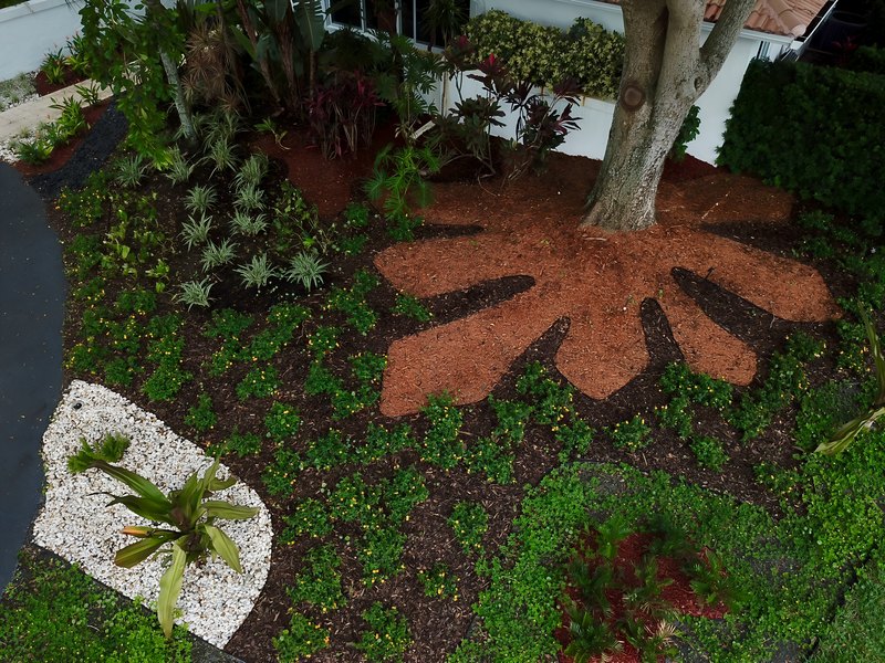 Coral Springs House