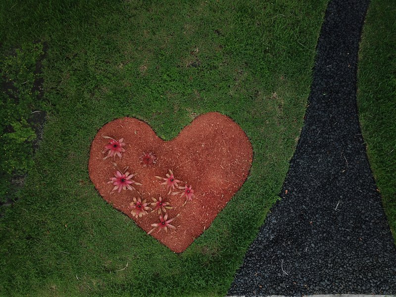 Coral Springs House
