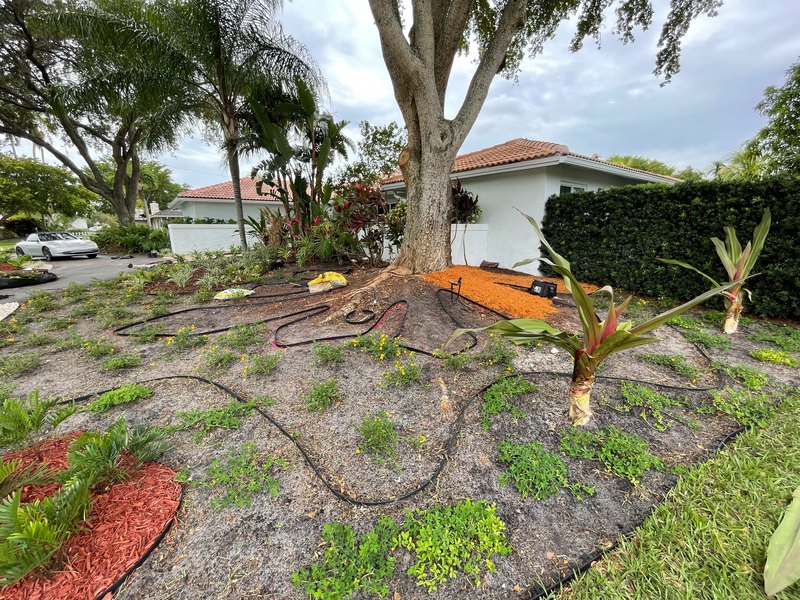 Coral Springs House
