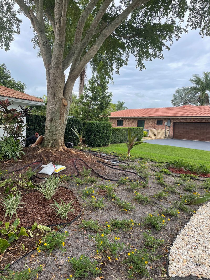 Coral Springs House