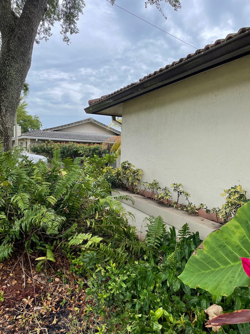 Coral Springs House