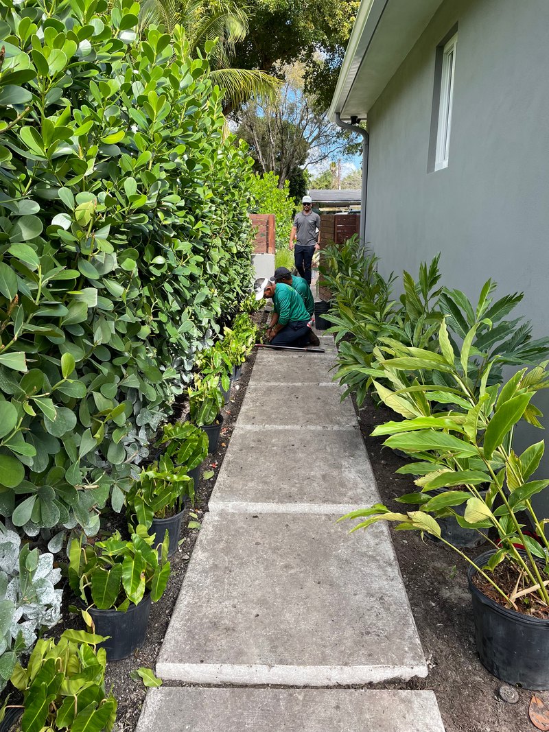 Miami Shores House